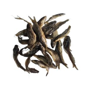 Tengra (টেংরা শুটকি)