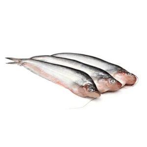 Butter Catfish (পাবদা )