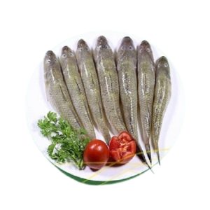 Ailia( Baila) Catfish (ছোট বাইলা)