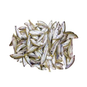 Mola Carplet (মলা)