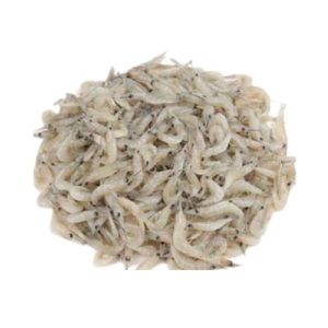 Little Shrimp (ছোট চিংড়ি)