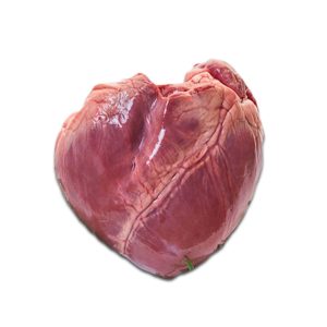 Kidney-গুর্দা