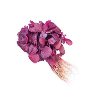 Red Spinach (লাল শাক)